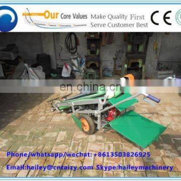 Best Price Selling of Leek/New Harvested Fresh Leek photo-5