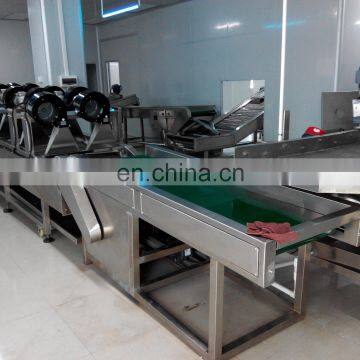 Semi Automatic Plant 30kg 50kg 80kg 100kg Small Scale Plantain Chips Production Machine photo-6