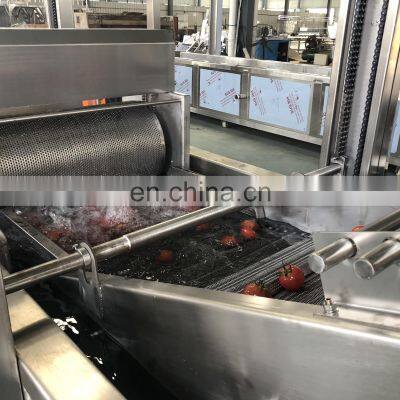 Tomato Cleaning Machine/Broccoli Washing Machine/Corn Cleaning Machine photo-4