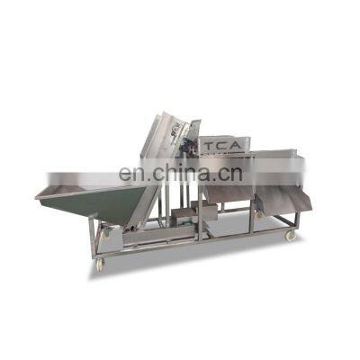 Automatic Onion Peeling Machine Onion Slices Processing Line photo-4