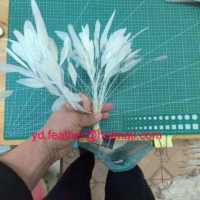 Stripped White Rooster Tail Feather 8-10