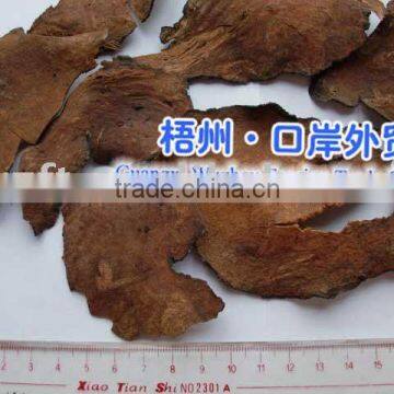 1-8 tuber fleeceflower root