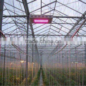 LED GROW LAMP