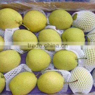 2016 new crops Shandong Pear