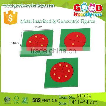 High Quality Preschool Montessori Toy of Montessori Material Metal Inscribed & Concentric Figures