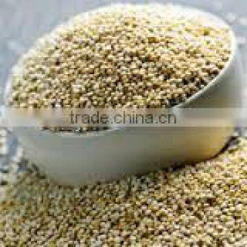 QUINOA AT BEST PRICE/ high Protein/ good for health