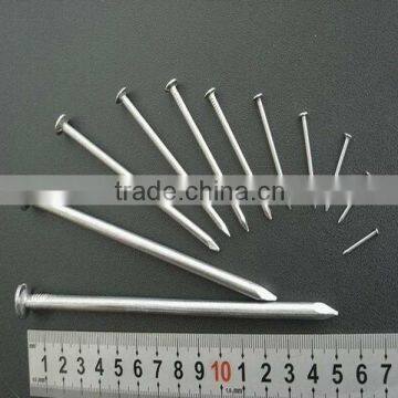 Common round wire nails (hardware)