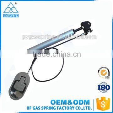 Factory custom steel controllable adjustable Gas Spring                        
                                                Quality Choice