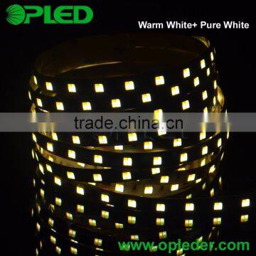 2 in 1 Chip Dual Color CCT Adjustable /dimmable 12V LED Fleixble Strip 5050 White & Warm White Quality Choice photo-2