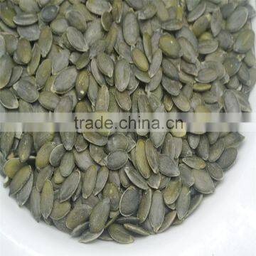 GWS Pumpkin Kernels Hybrid Chilli Seeds photo-2