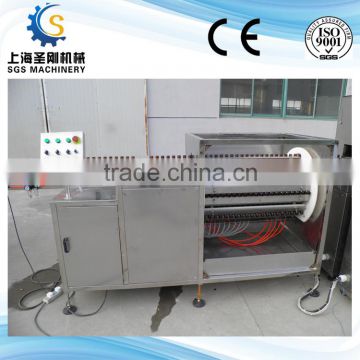 SGSGXP-100 Bottles washing machine