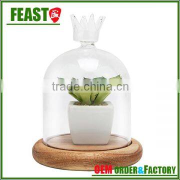 High Borocilicate Decorative Glass Dome