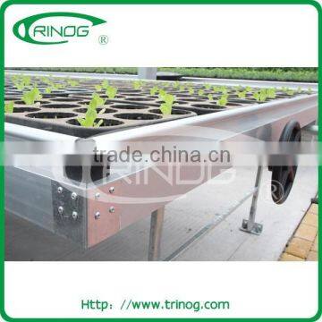 Ebb and Flow Seeding Beds in Commercial Greenhouse photo-3