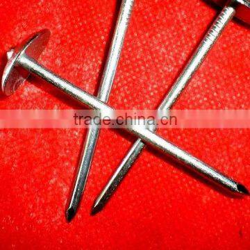 Botswana Market Galvanized Roofing Nail photo-3