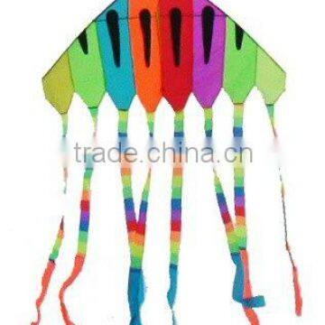 rainbow delta kite