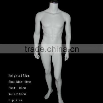 Male mannequin gross color