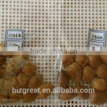 Supply With Chinese Bulk Spicy Flavored Roasted Apricot Kernels in Shell photo-3
