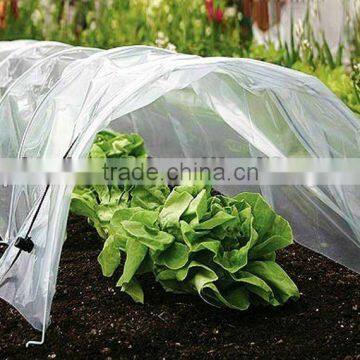 vegetable growing greenhouse