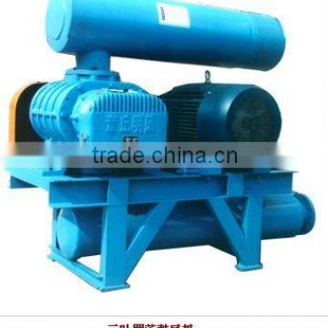 High pressure roots blower