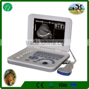 vet ultrasound/10.8" lED display 3D cheap professional animals use portable ultrasound