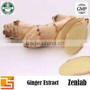 100% Water Soluble Natural Drink Ginger Extract Powder