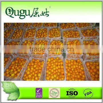 2014 New crop Chinese fresh mandarine orange price