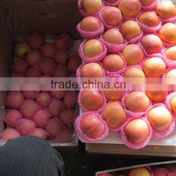 Red Fuji Apples for uk Indian Market
