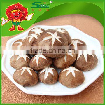 Top grade fresh mushroom healthy food frozen mushroom