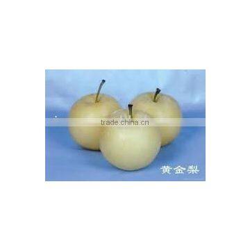 Huangguan Pear/ Crown pear / Golden pear