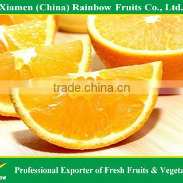 Fresh fruits of Chinese Navel Orange Mandarin