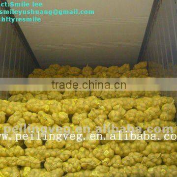 2012chinese fresh potato price