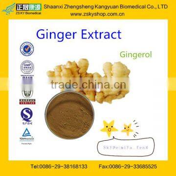 GMP Manufacture Supply High Quality Ginger Root Extract Gingerols