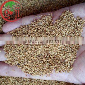 Factory Supply High Quality Goji Berry seeds for plants tree