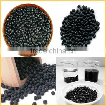 Black Soybean Hull Extract , Black Soybean Anthocyanins & Anthocynidins