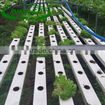 Professional factory manufacturing cucumber plant slot for farm