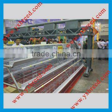 Chicken feeding equipment