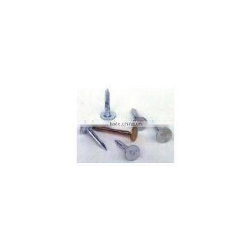 roofing nail with flat head