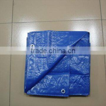 PE Material Blue Plastic Sheet photo-2