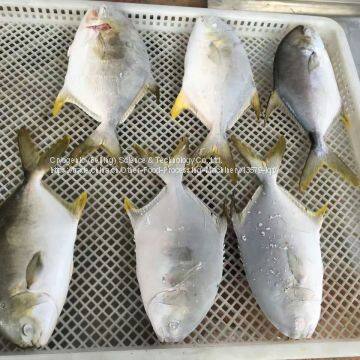 Fish,shrimp, Lobster Iqf Tunnel Freezer, Cryogenic Freezer photo-3