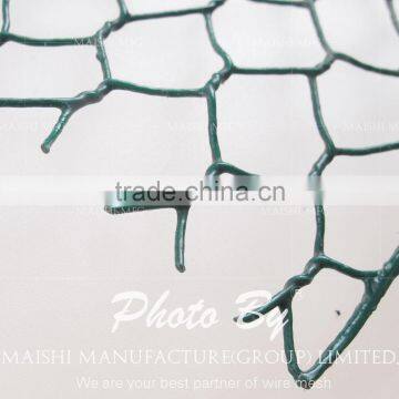 Hexagonal Weaved Wire Netting photo-5