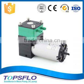 High Performance 6V 12V 24V Diaphragm Mini Air pump