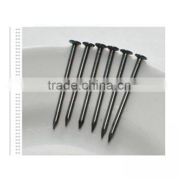 China Manufacturer Common Nails Iron Nail Price and Size photo-2