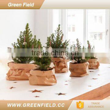 Brown washable paper planting bag,brown kraft paper bags