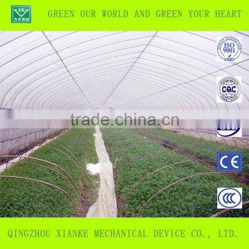 Big Cheep Glass Greenhouse for Seeding photo-2