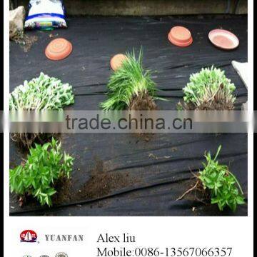 Agriculture Black Plastic Film Made in the Factory in Zhejiang Province of China