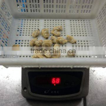 Mix of Seafood photo-4