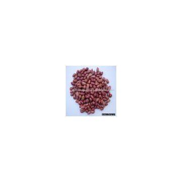 Red Skin Groundnut Kernel