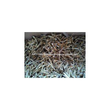 SUN DRIED, UNBOILED ANCHOVY/SPRAT
