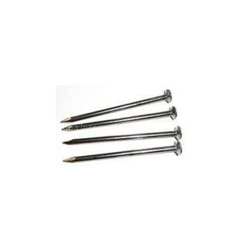Common Round Iron Nail Made in China
