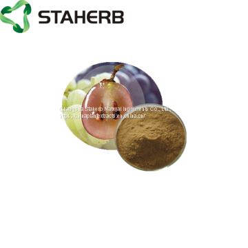 Grape Seed Extract Proanthocyanidins